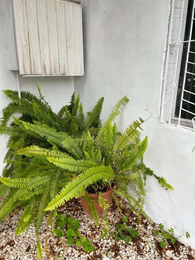 הוילה לימסול Avra House מראה חיצוני תמונה