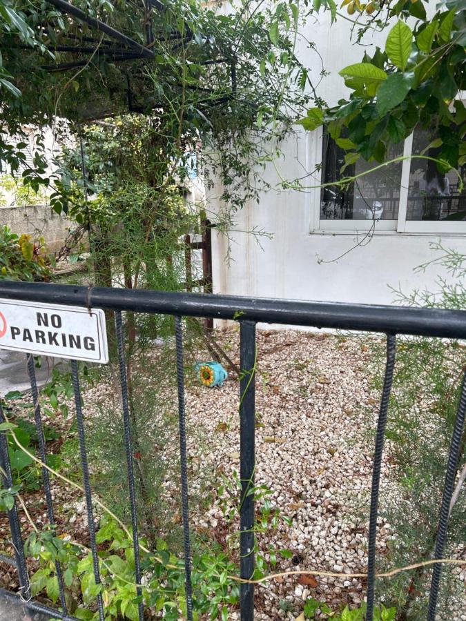 הוילה לימסול Avra House מראה חיצוני תמונה