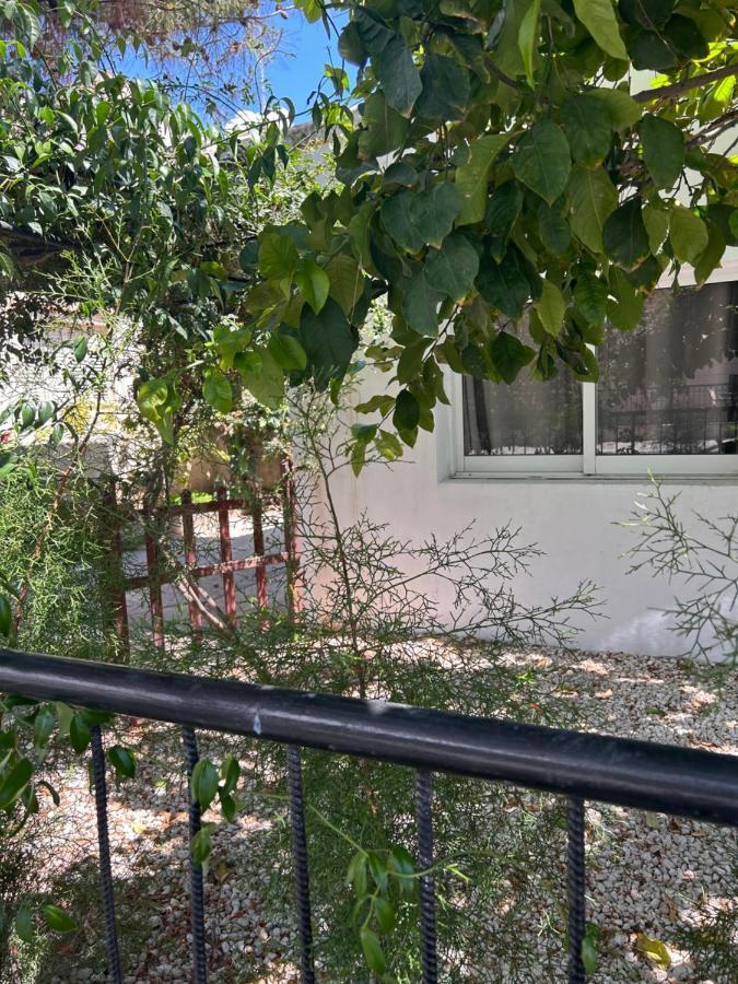 הוילה לימסול Avra House מראה חיצוני תמונה