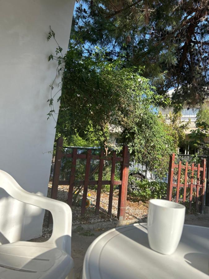 הוילה לימסול Avra House מראה חיצוני תמונה